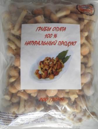 грибы опята