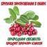Замороженная брусника в сахаре